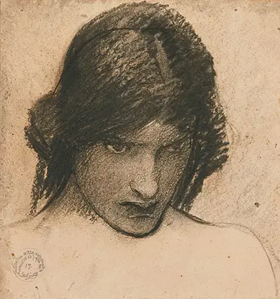 Study for Circe Invidiosa John William Waterhouse
